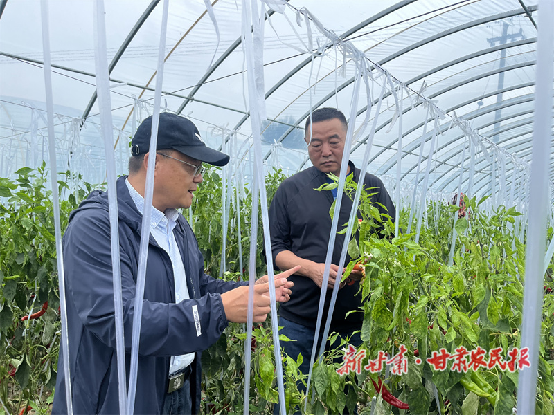 杨力学：罗杭村的“解忧”书记