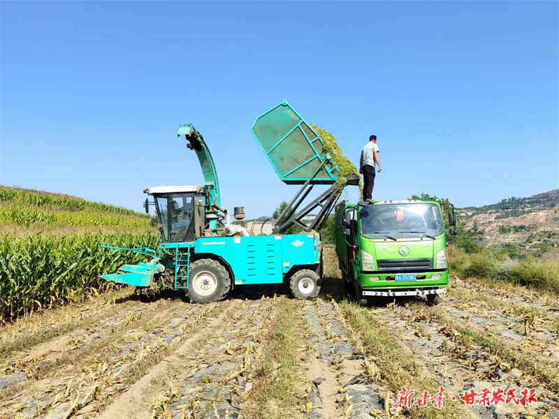 庄浪：&ldquo;联农带农&rdquo;奔富路