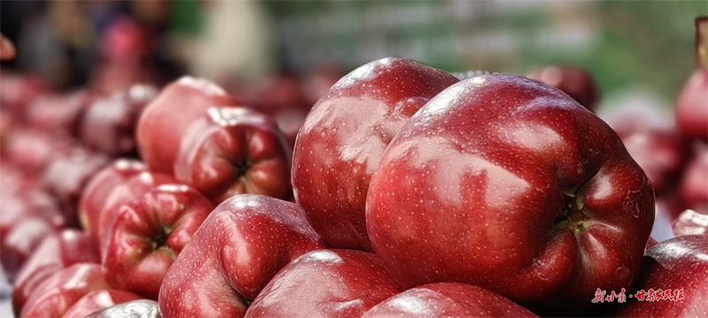 天水：丰收节让花牛苹果更“牛”