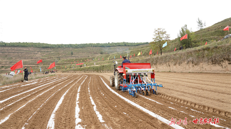 守好“粮袋子”！静宁县20万亩冬小麦播种忙