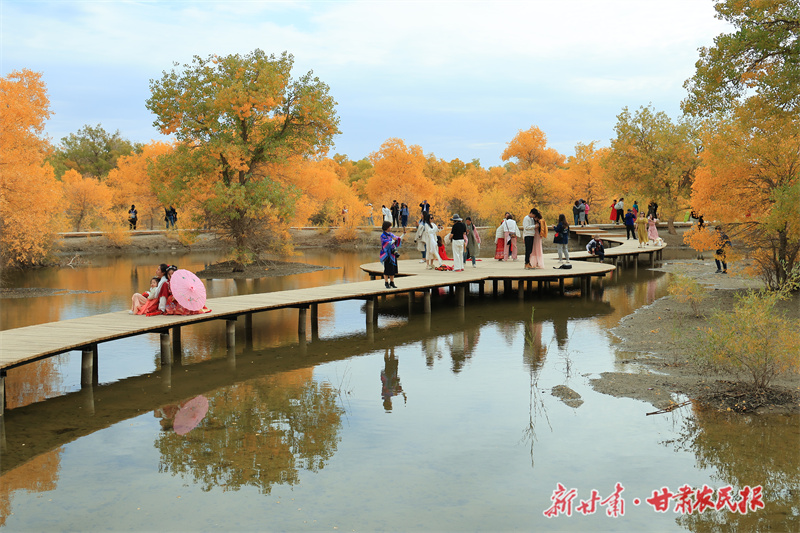 金塔沙漠胡杨林