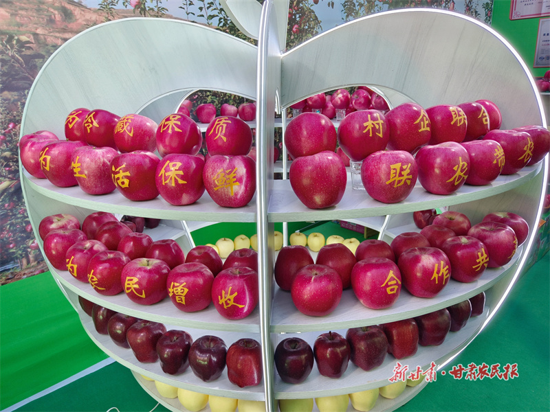 庄浪：硕果飘香秋意浓