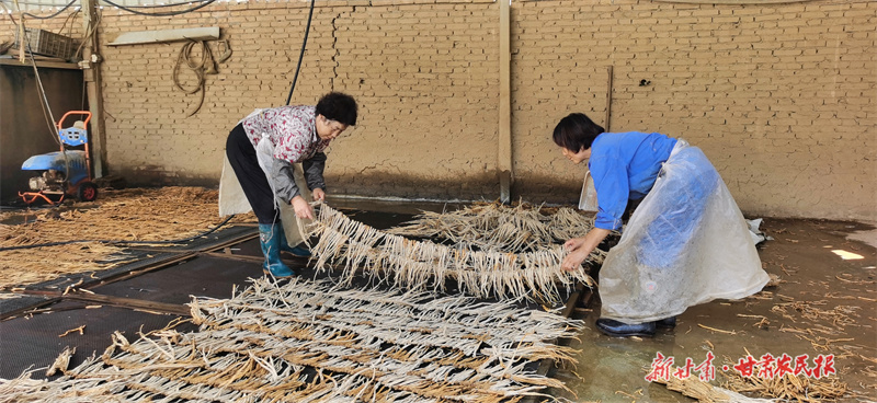 金融“活水”润“山城”——甘肃农担陇南运营中心服务“三农”纪实

