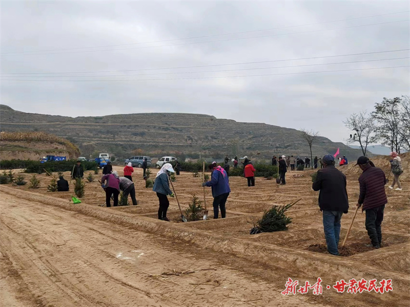 庄浪：植树添绿，共绘和美乡村新画卷