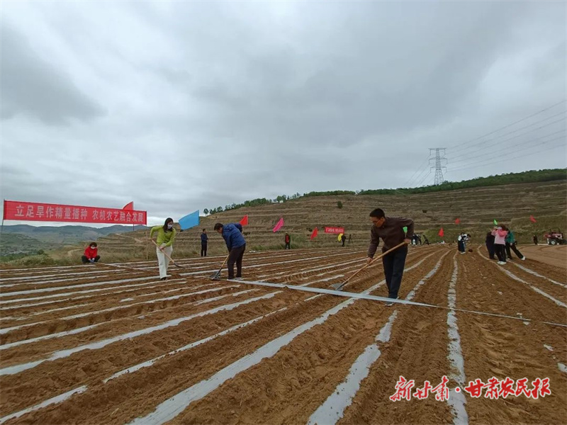 ​静宁:冬小麦膜侧宽幅匀播技术助增产