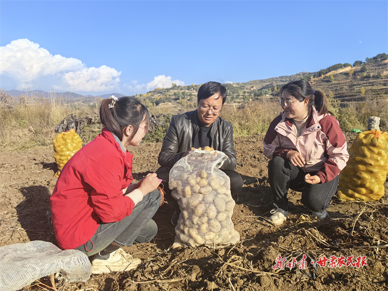 庄浪：科技赋能马铃薯产业高质量发展