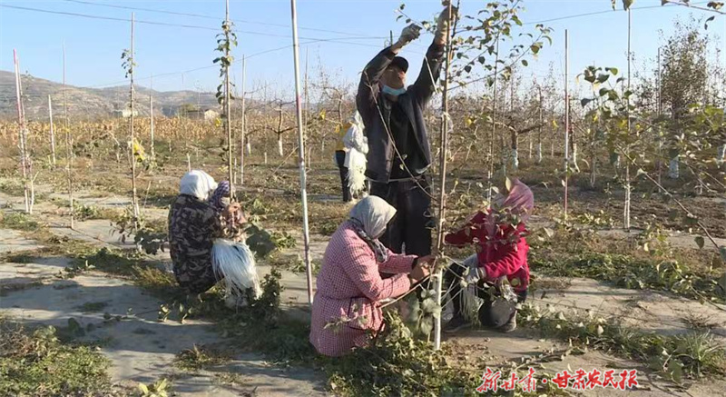 静宁：冬管果园提质增效促增收