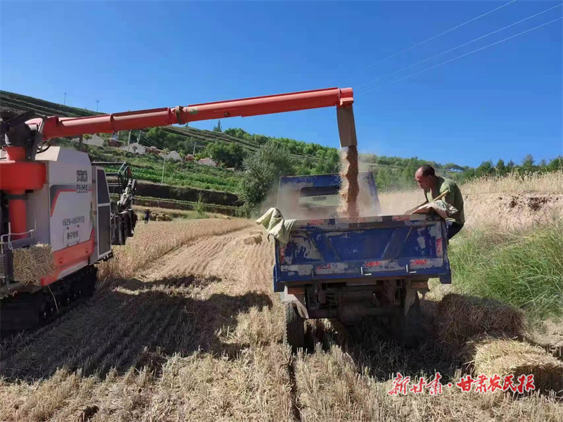 静宁：“托”出高效益“管”出大丰收静宁：“托”出高效益“管”出大丰收