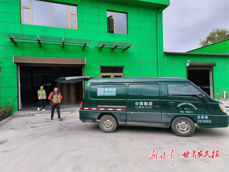 山货进城 &ldquo;邮&rdquo;向世界&mdash;&mdash;陇南市邮政分公司电商发展助农惠农工作纪实