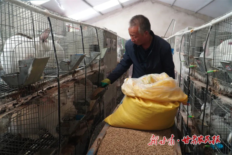 卓尼 肉兔养殖&ldquo;蹦&rdquo;出致富路