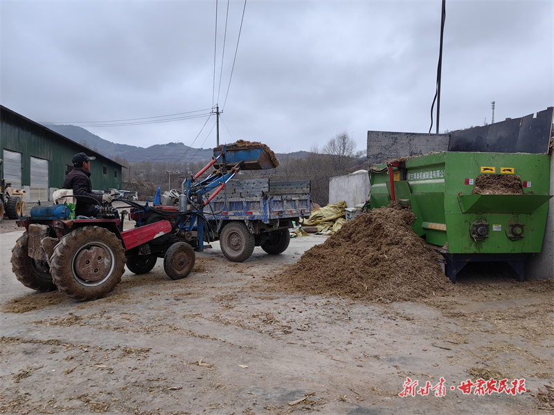 庄浪：做强牛产业 致富“牛”劲足