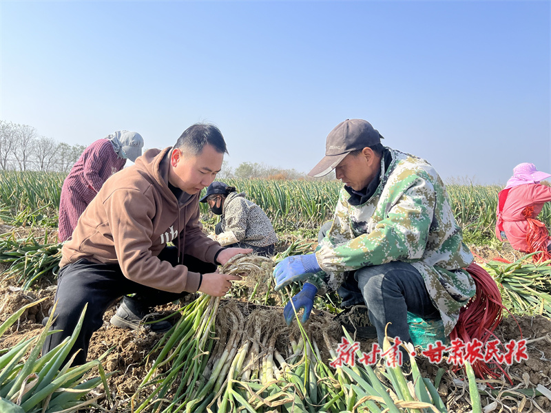 李永强：黄土地上栽下新希望
