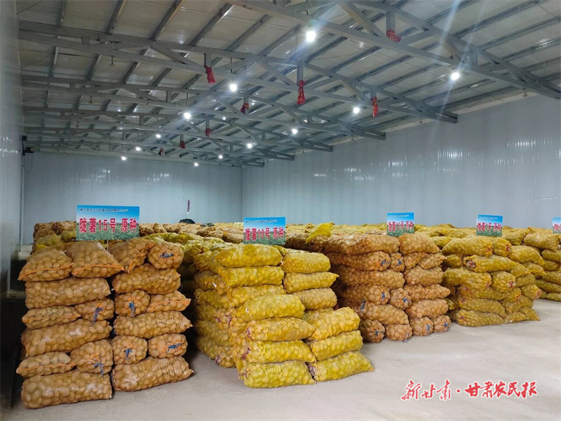 静宁：“提质增效”促旱作农业“延链”发展