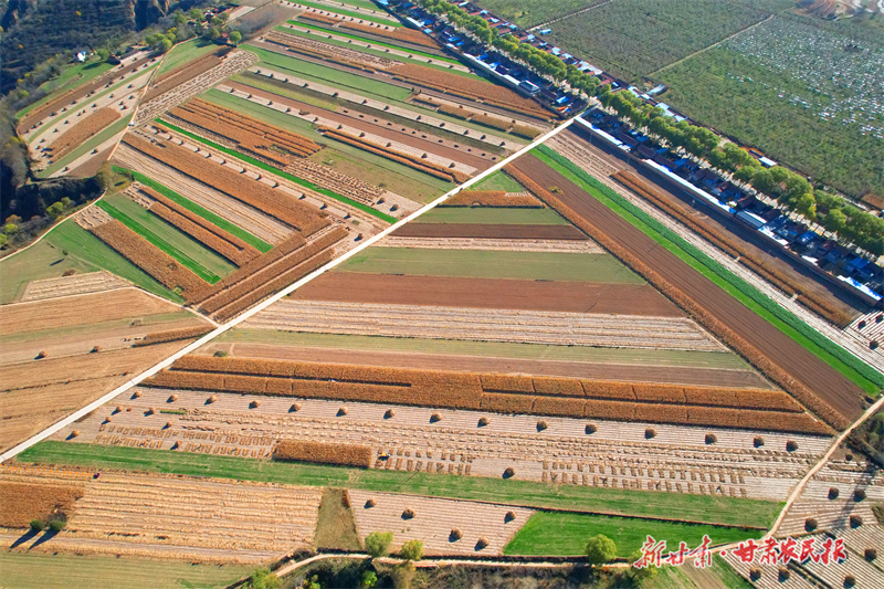 崆峒区：碎田变良田 “创”出共富路