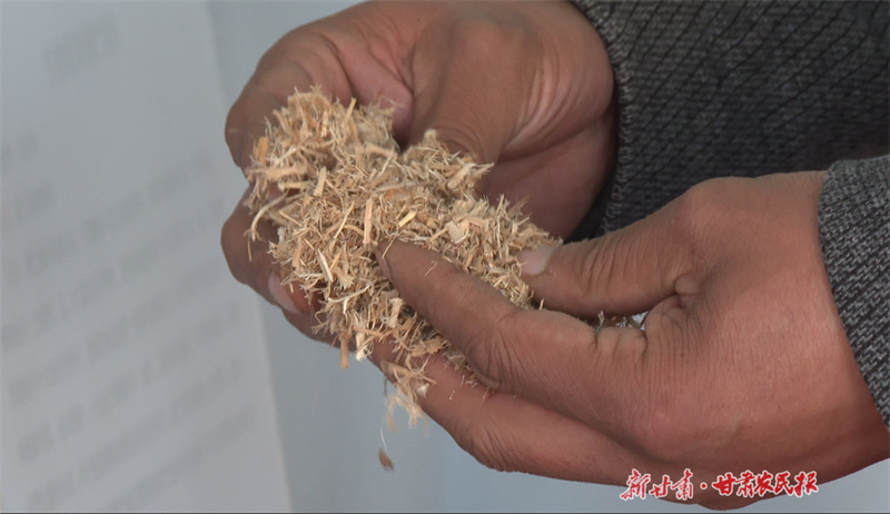 静宁：点“燃”乡村振兴新希望