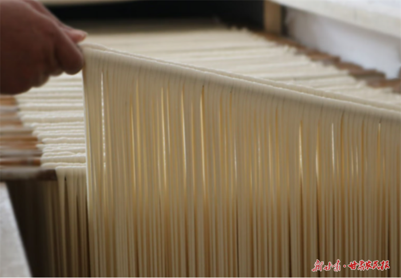 康县：“一碗面”串起乡村振兴致富链