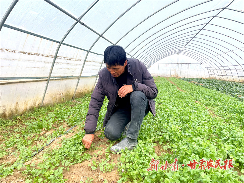 宁县：特色产业奏响&ldquo;致富曲&rdquo;