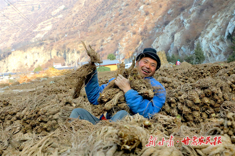 发展中药材产业