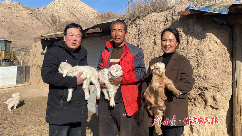 马彦彦：洮水河畔新农人