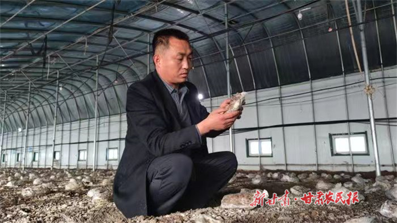 盛元：勇当群众致富带头人