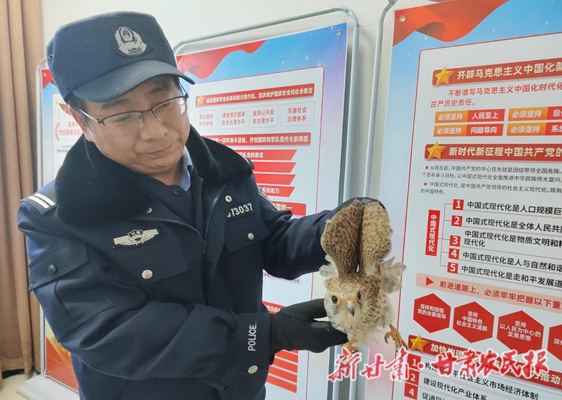 【图片新闻】民乐县公安局森林警察大队成功救助一只国家二级保护动物——红隼
