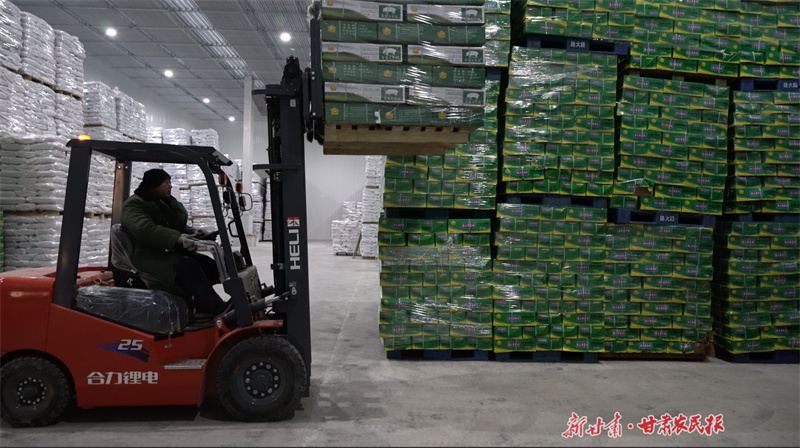 静宁：“归雁工程”赋能产业遍地开花