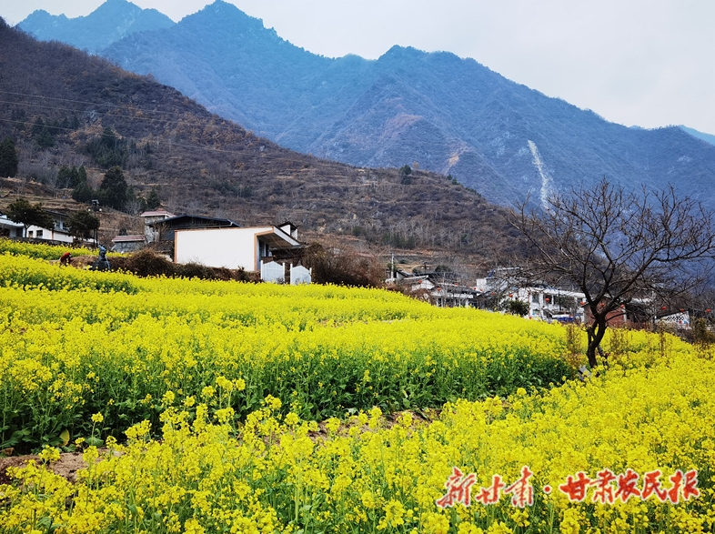 白龙江畔&ldquo;钓&rdquo;起一番春色