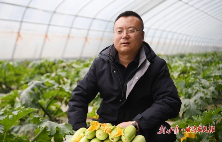 渭源：引雁&ldquo;衔泥回巢&rdquo;助力乡村振兴