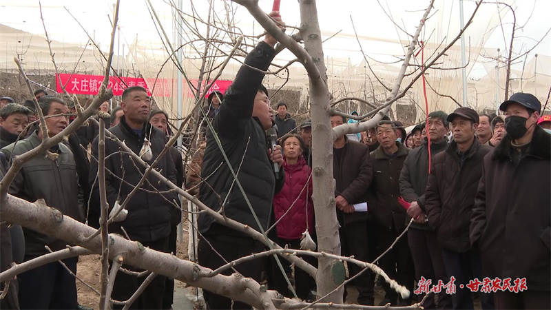 庄浪：人勤春早管园忙