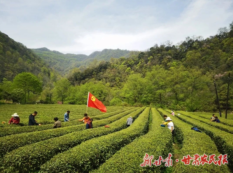 康县：油坊坝村话和美