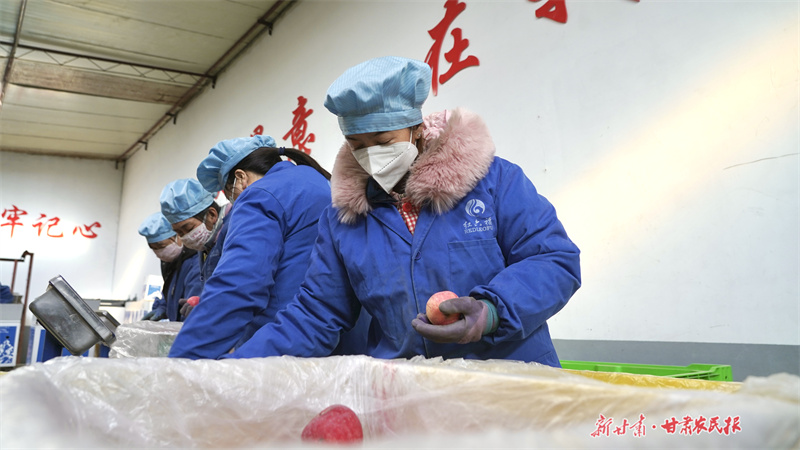 180吨“静宁苹果”奔赴海外市场