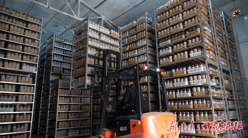 康县碾坝镇：春耕备耕正当时