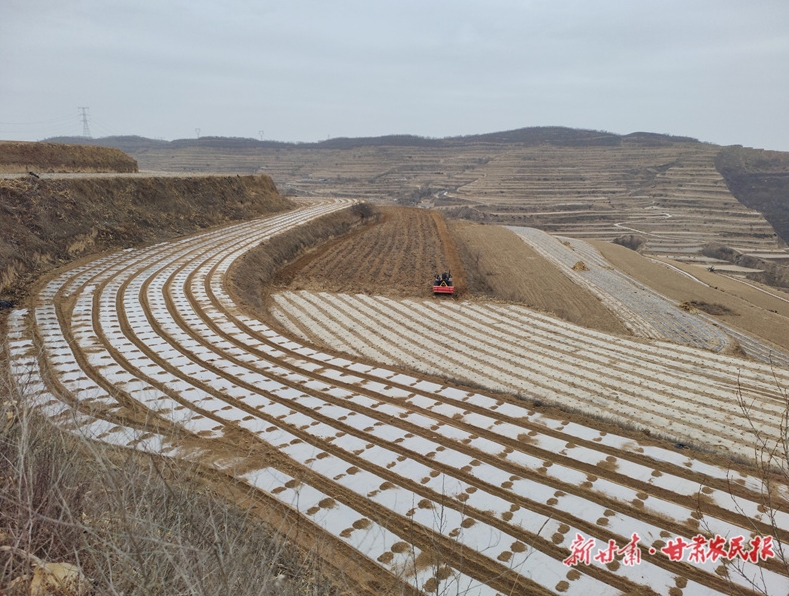 静宁：抢墒覆膜保丰收