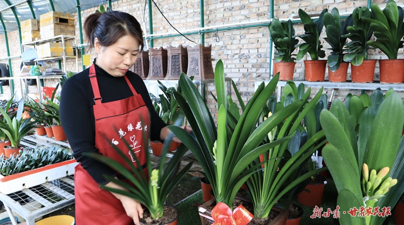 崆峒区：大棚“花事”忙