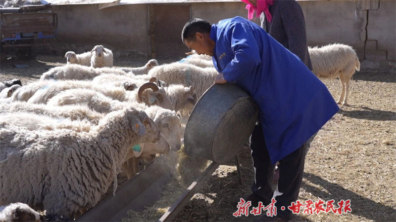 张文森的新打算