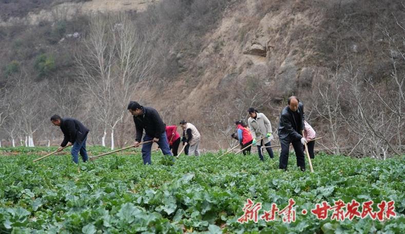 康县周家坝镇：不负农时不负春 绘就多彩春耕图