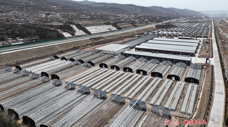 庄浪：智慧菌菇扎下“致富根”