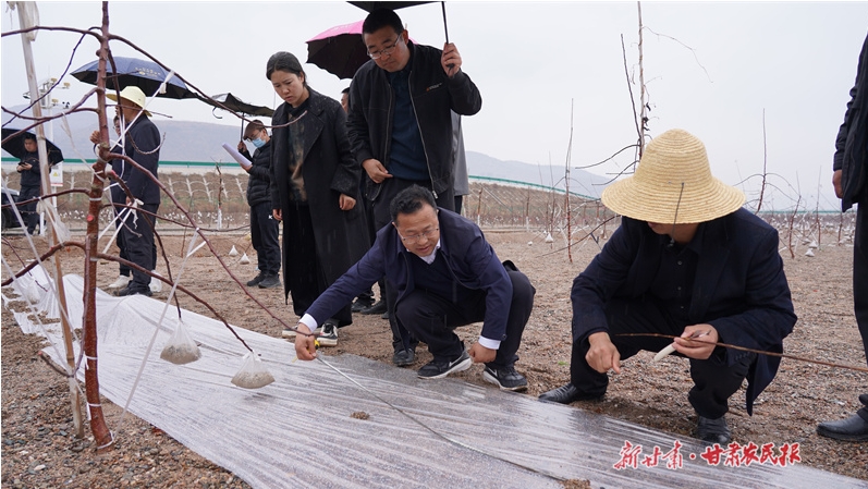 静宁：农技下乡助春耕