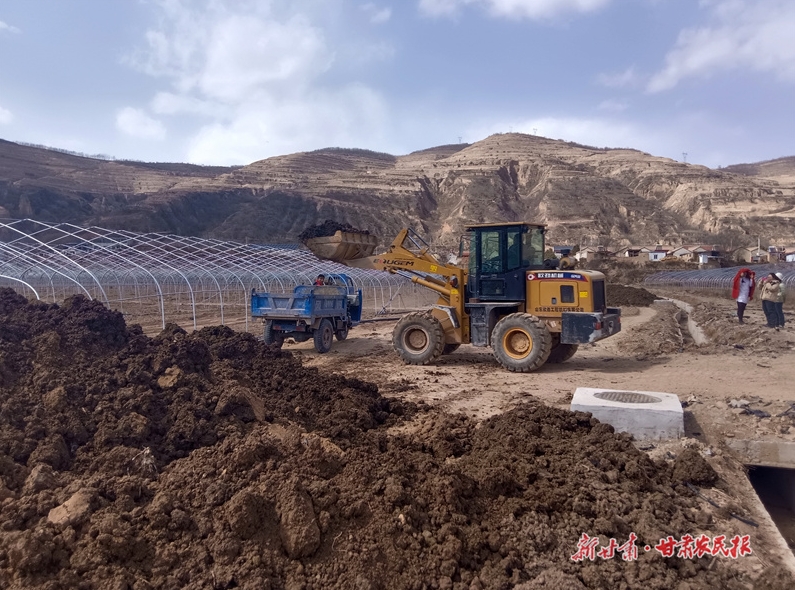 庄浪：粪肥还田为绿色农业“开良方”