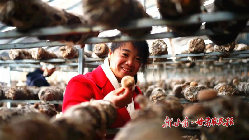 王世芳：小蘑菇撑起致富梦