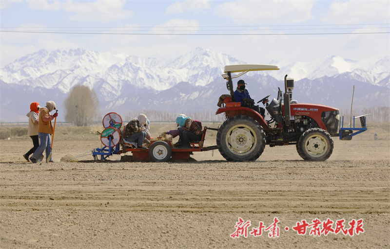 中药材种植基地