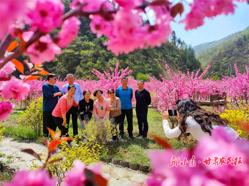 两当县樱花周旅游文化活动