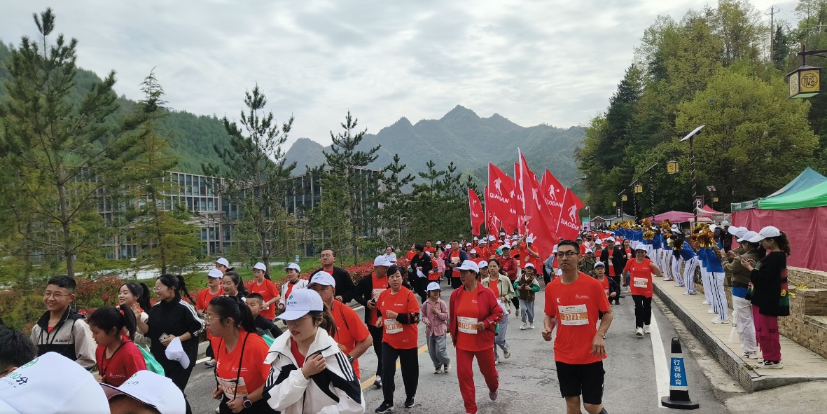 2024“康马”圆满落幕