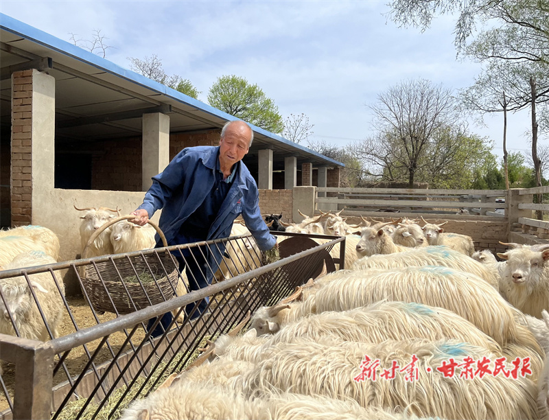 “怀有”养殖梦 科学发“羊财”