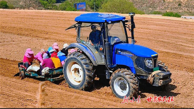 华池：道地中药材种出惠农&ldquo;千金方&rdquo;
