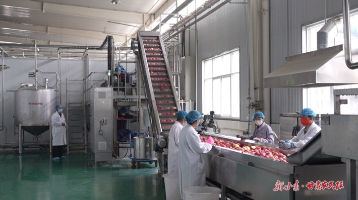 静宁：“一个苹果”串起一条“致富链”