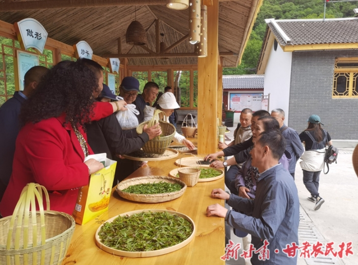 康县：从卖茶叶到卖“文化”