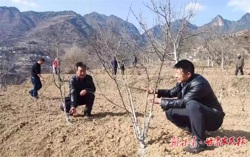 王喜宏：退役不褪色的“兵支书”