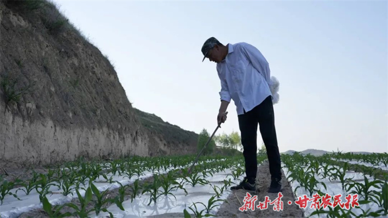 杨军 让“沉睡”撂荒地恢复“活力”
