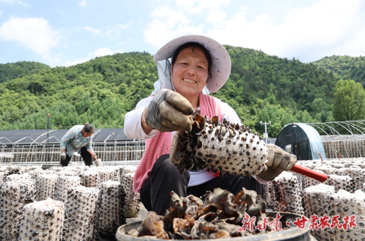 【图片新闻】康县：木耳丰收 助农增收
